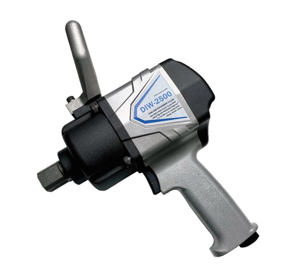 DIW-2500